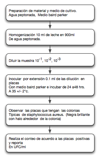 Determinación de staphylococcus  aureus en leche bronca.