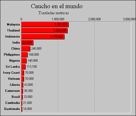 imagen 13