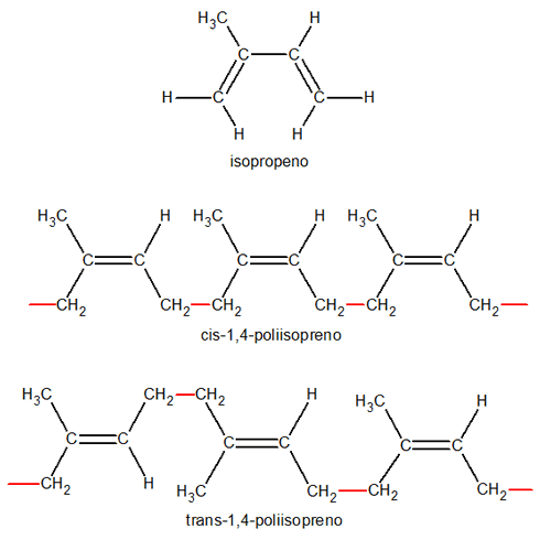 cis y trans 1,4 poliisopreno