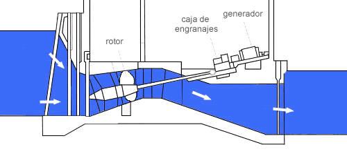 Turbinas