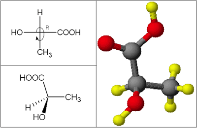 Ácido láctico con sus isómeros D y L