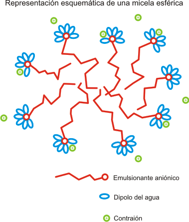 Formación de micelas