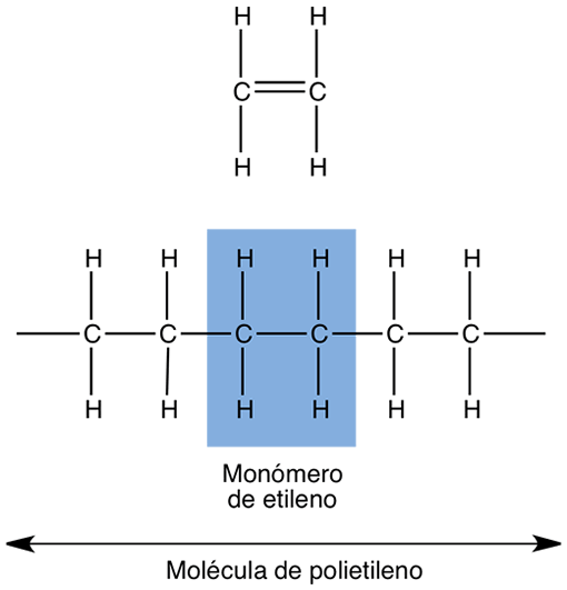 Formación del polímero polietileno