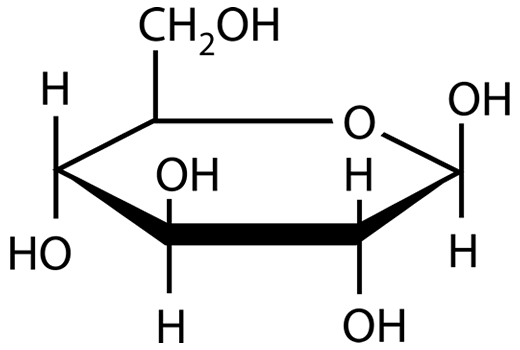 Glusosa