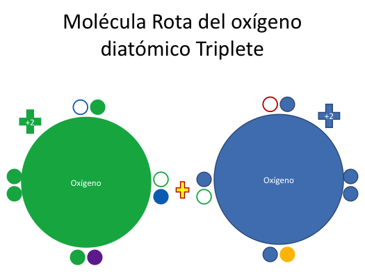 Ciclo del Ozono