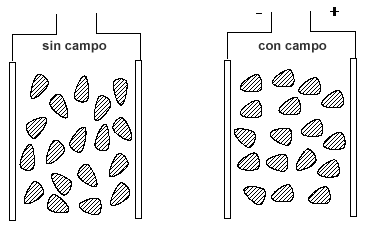 Moléculas polares