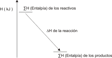 Gráfico número 17