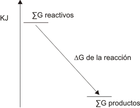 Gráfico número 26