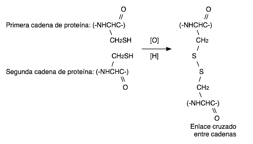 tioles a disulfuros