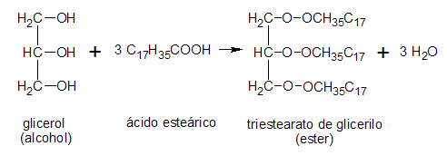 ácidos grasos