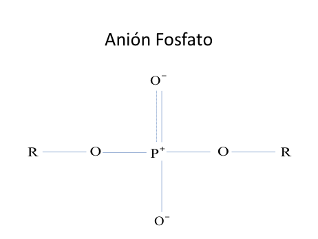 Anión fosfato