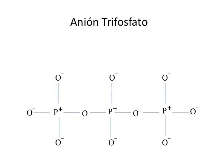 Anión trifosfato