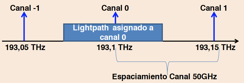 NG-WDM